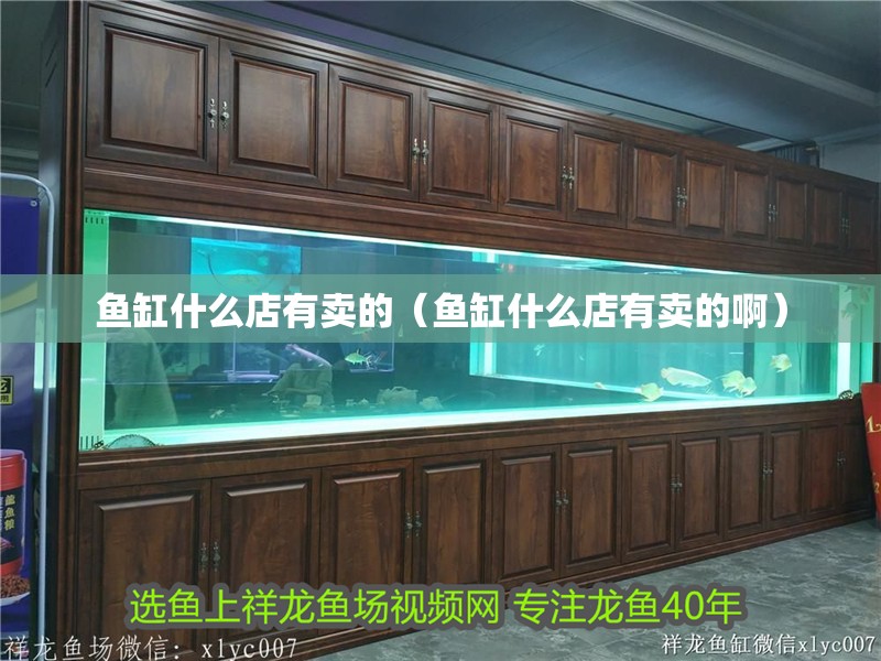 大型魚缸用什么玻璃膠最好：大型魚缸修補魚缸修補的藝術修補的藝術修補魚缸修補技巧