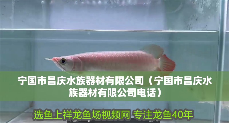 寧國市昌慶水族器材有限公司（寧國市昌慶水族器材有限公司電話） 寧國市昌慶水族器材有限公司（寧國市昌慶水族器材有限公司電話） 全國水族館企業(yè)名錄 第2張