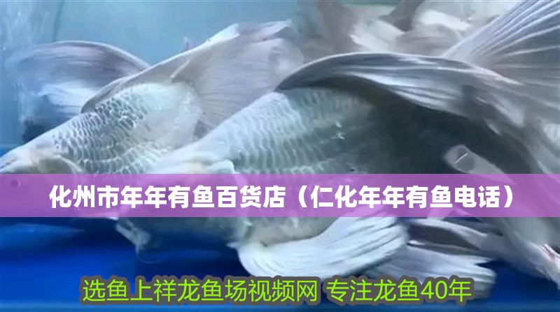 化州市年年有魚百貨店（仁化年年有魚電話）