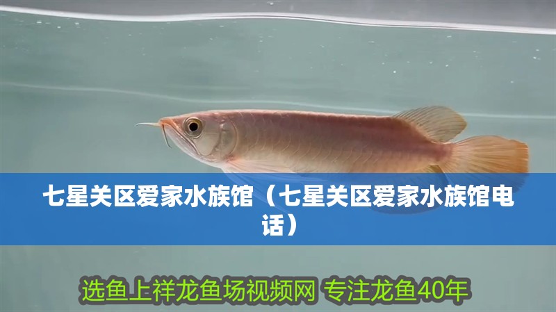 七星關(guān)區(qū)愛家水族館（七星關(guān)區(qū)愛家水族館電話）