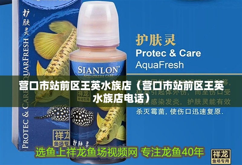營口市站前區王英水族店（營口市站前區王英水族店電話）