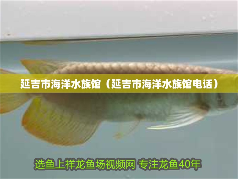 延吉市海洋水族館(延吉市海洋水族館電話) 全國水族館企業名錄 第2張 延吉市海洋水族館(延吉市海洋水族館電話) 延吉市海洋水族館(延吉市海洋水族館電話) 全國水族館企業名錄 第2張