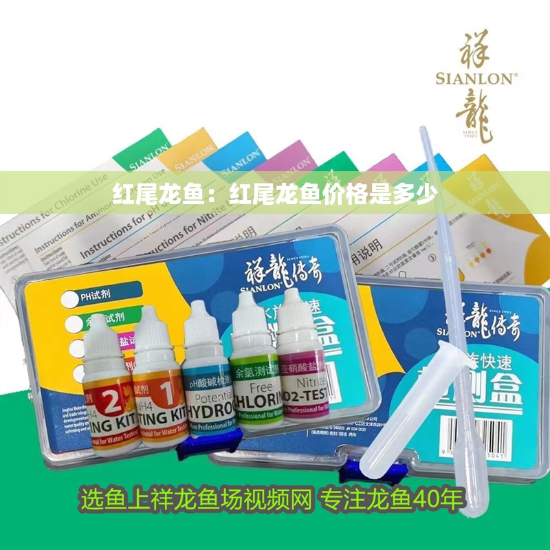 紅尾龍魚：紅尾龍魚價格是多少