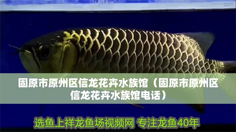 固原市原州區(qū)信龍花卉水族館（固原市原州區(qū)信龍花卉水族館電話）