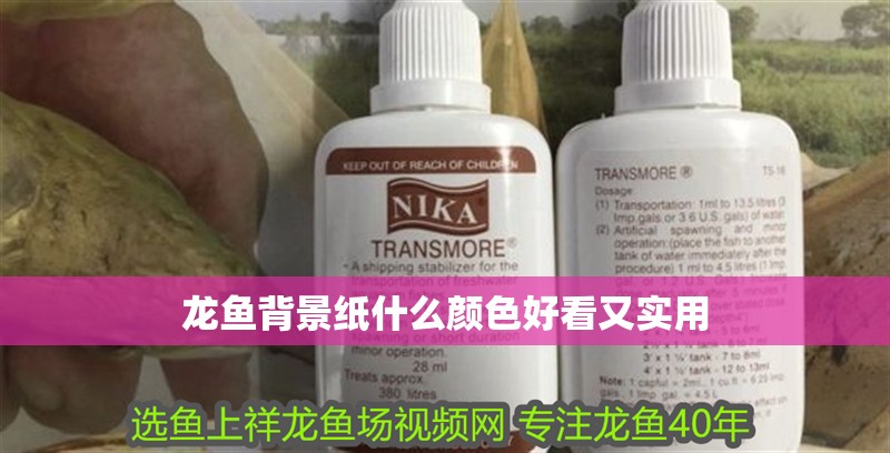 龍魚背景紙什么顏色好看又實用