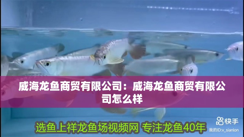 威海龍魚(yú)商貿(mào)有限公司：威海龍魚(yú)商貿(mào)有限公司怎么樣