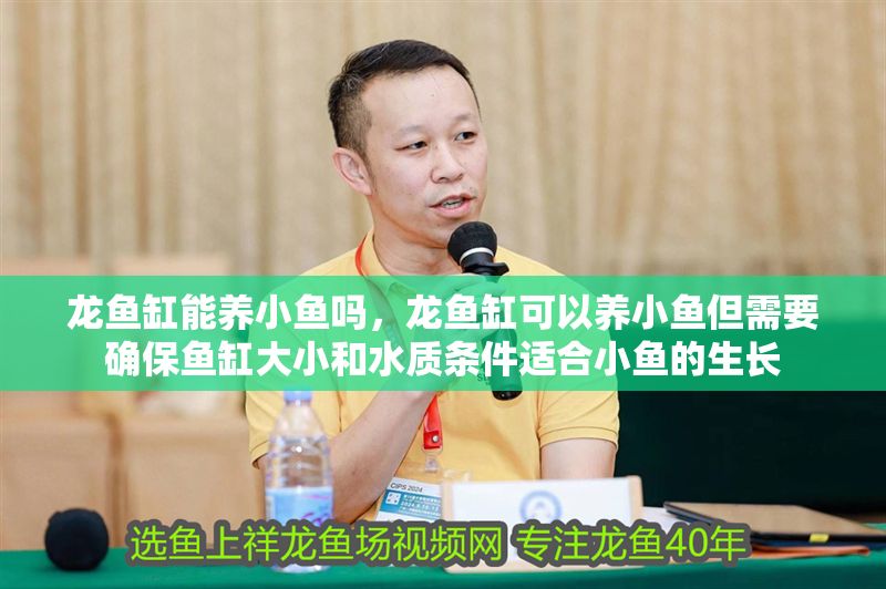 龍魚缸能養(yǎng)小魚嗎，龍魚缸可以養(yǎng)小魚但需要確保魚缸大小和水質(zhì)條件適合小魚的生長