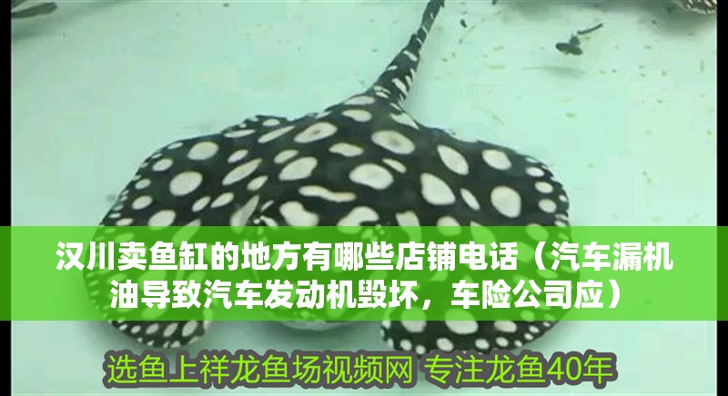 漢川賣魚缸的地方有哪些店鋪電話（汽車漏機油導致汽車發(fā)動機毀壞，車險公司應）