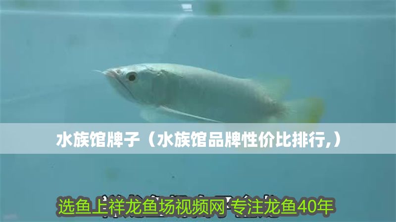 水族館牌子（水族館品牌性價比排行,）