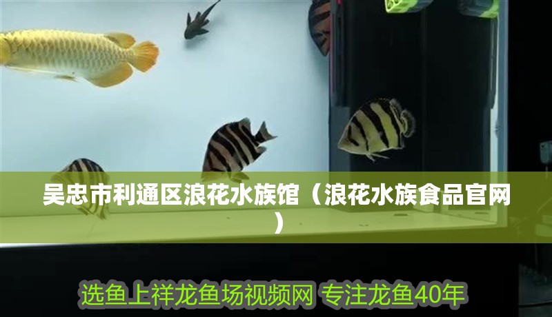 吳忠市利通區(qū)浪花水族館（浪花水族食品官網(wǎng)）