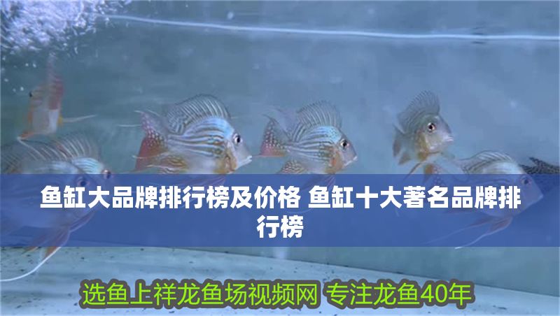 魚缸大品牌排行榜及價(jià)格 魚缸十大著名品牌排行榜 魚缸大品牌排行榜及價(jià)格 魚缸十大著名品牌排行榜 紅龍魚百科 第1張
