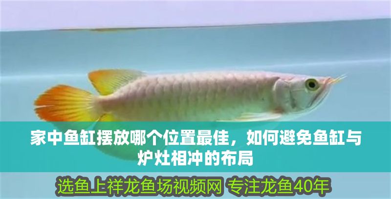 家中魚缸擺放哪個位置最佳，如何避免魚缸與爐灶相沖的布局