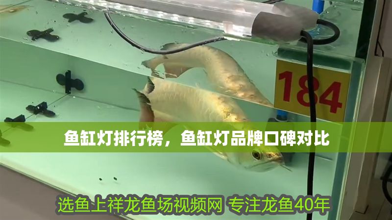 魚缸燈排行榜,魚缸燈品牌口碑對比 魚缸百科 第2張 魚缸燈排行榜,魚缸燈品牌口碑對比 魚缸燈排行榜,魚缸燈品牌口碑對比 魚缸百科 第2張