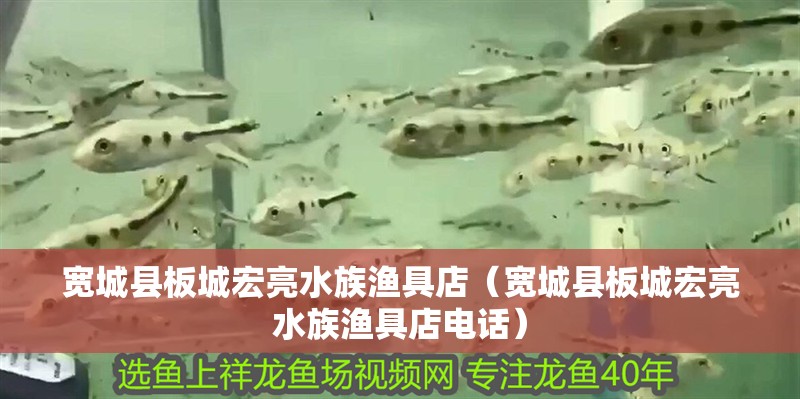 寬城縣板城宏亮水族漁具店（寬城縣板城宏亮水族漁具店電話）