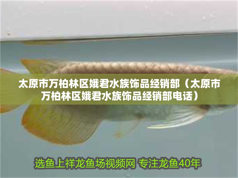 太原市萬柏林區娥君水族飾品經銷部（太原市萬柏林區娥君水族飾品經銷部電話）