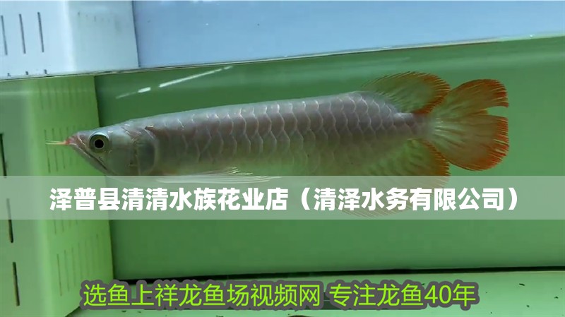 澤普縣清清水族花業店（清澤水務有限公司）
