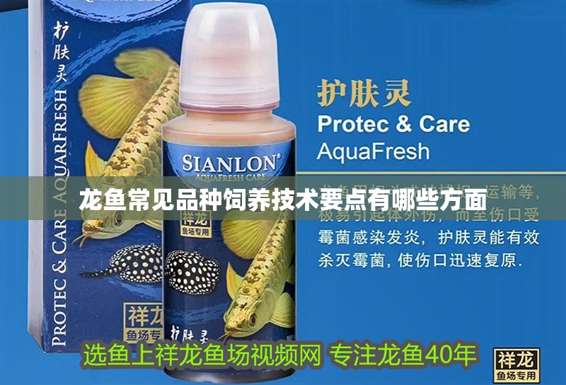 龍魚常見品種飼養(yǎng)技術(shù)要點(diǎn)有哪些方面 龍魚常見品種飼養(yǎng)技術(shù)要點(diǎn)有哪些方面 龍魚百科 第2張
