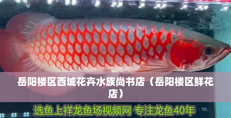岳陽樓區西城花卉水族尚書店（岳陽樓區鮮花店）