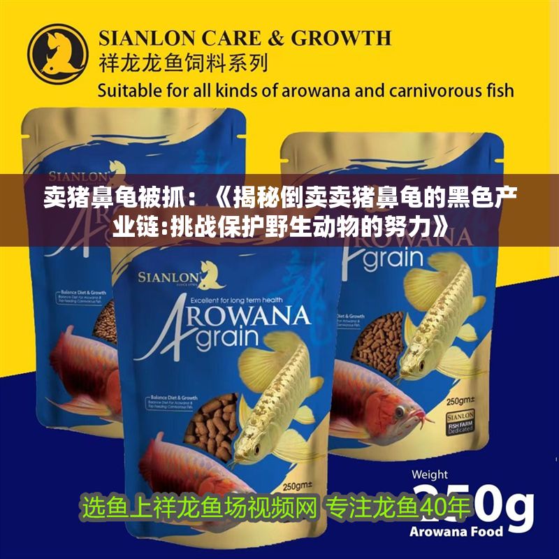 賣豬鼻龜被抓：《揭秘倒賣賣豬鼻龜的黑色產業鏈:挑戰保護野生動物的努力》 賣豬鼻龜被抓：《揭秘倒賣賣豬鼻龜的黑色產業鏈:挑戰保護野生動物的努力》 豬鼻龜百科 第1張