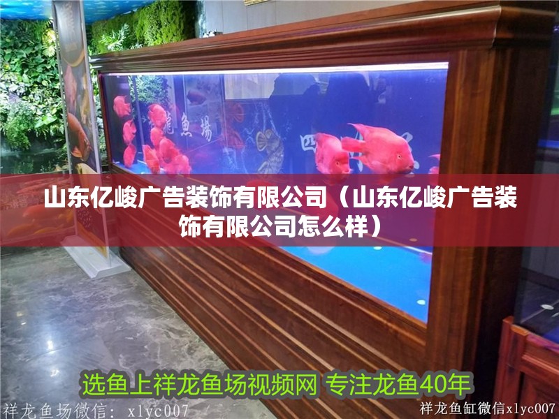 我的虎魚真菌感染了要怎么處理 山東億峻廣告裝飾有限公司(山東億峻廣告裝飾有限公司怎么樣) 全國水族館企業(yè)名錄 山東億峻廣告裝飾有限公司(山東億峻廣告裝飾有限公司怎么樣) 山東億峻廣告裝飾有限公司(山東億峻廣告裝飾有限公司怎么樣) 全國水族館企業(yè)名錄