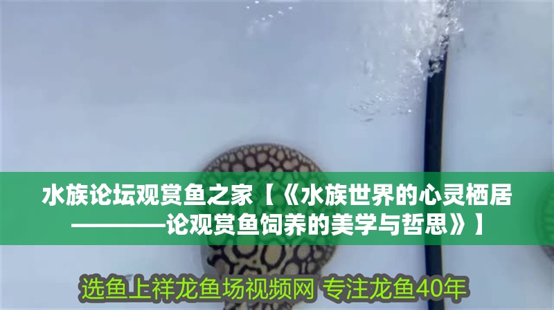水族論壇觀賞魚之家【《水族世界的心靈棲居————論觀賞魚飼養的美學與哲思》】
