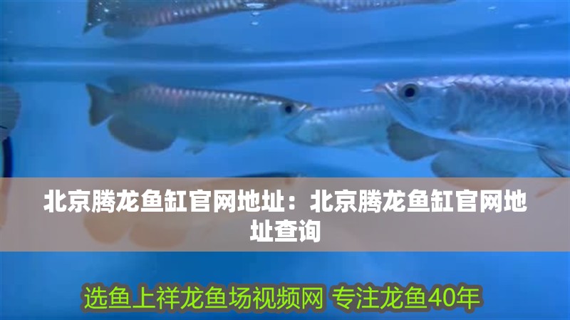 北京騰龍魚缸官網(wǎng)地址：北京騰龍魚缸官網(wǎng)地址查詢