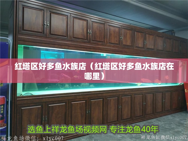 紅塔區好多魚水族店（紅塔區好多魚水族店在哪里）