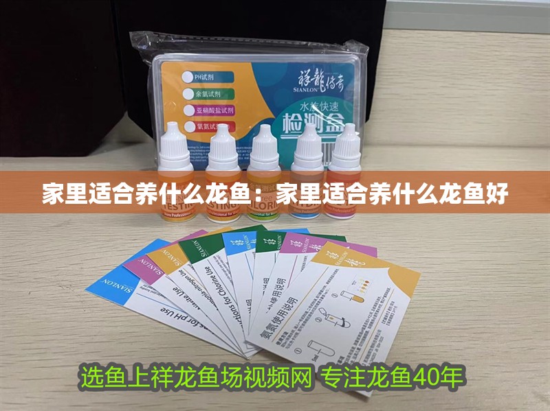 家里適合養(yǎng)什么龍魚：家里適合養(yǎng)什么龍魚好