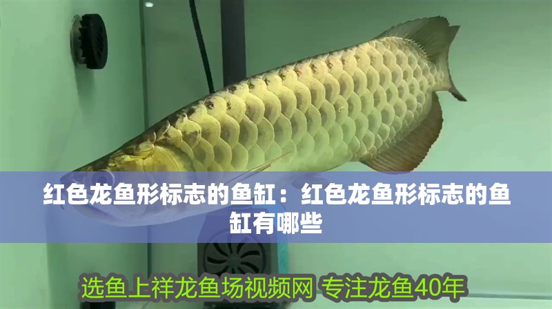 紅色龍魚形標(biāo)志的魚缸：紅色龍魚形標(biāo)志的魚缸有哪些