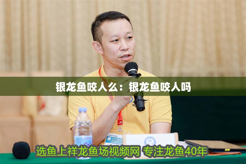 銀龍魚咬人么：銀龍魚咬人嗎 銀龍魚咬人么：銀龍魚咬人嗎 水族問答