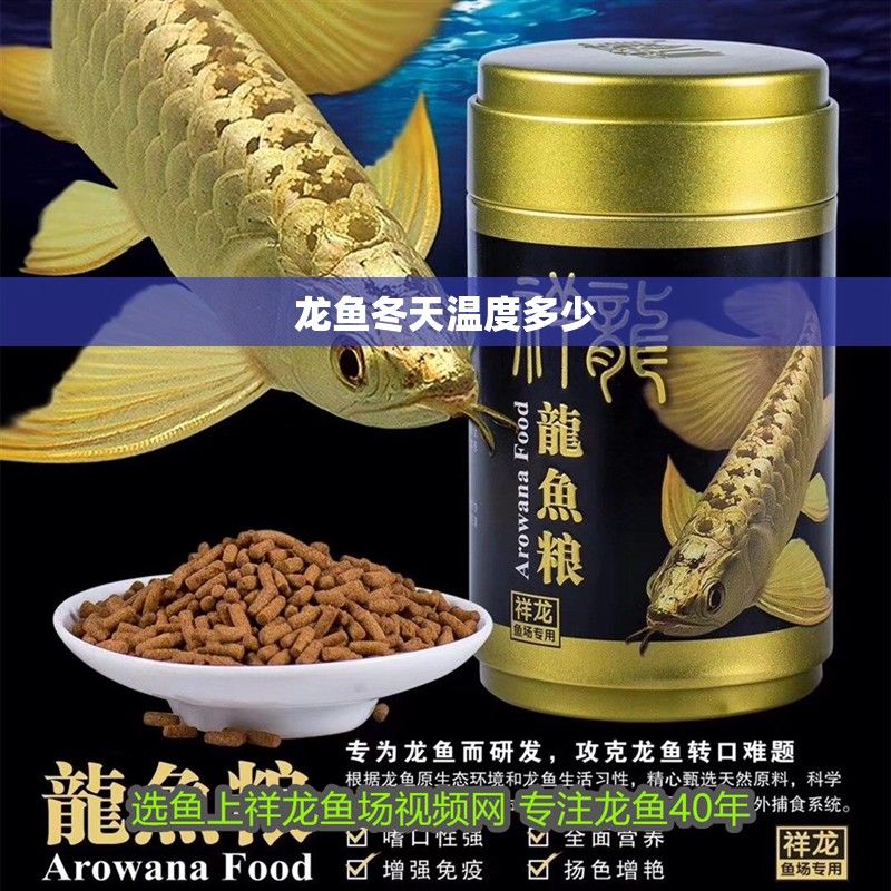 龍魚冬天溫度多少