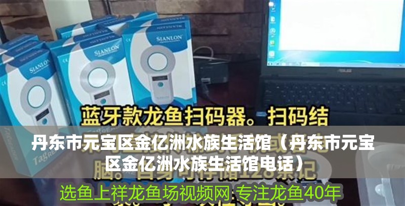丹東市元寶區(qū)金億洲水族生活館（丹東市元寶區(qū)金億洲水族生活館電話）
