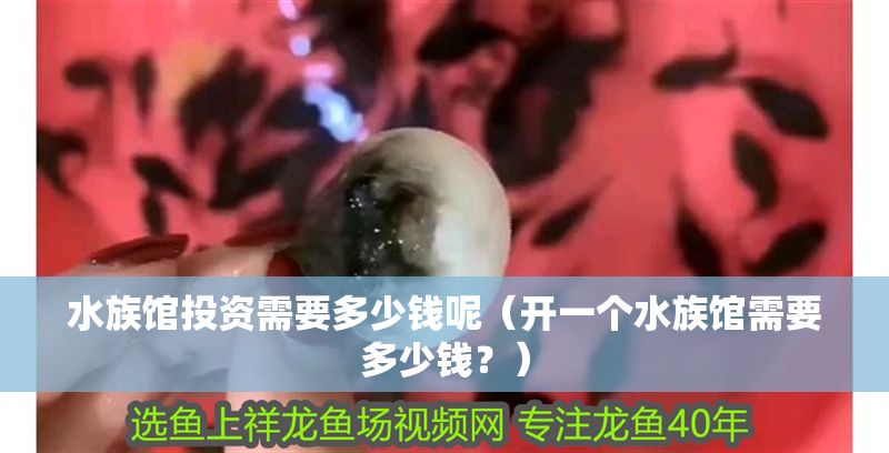 水族館投資需要多少錢呢（開一個水族館需要多少錢？） 水族館投資需要多少錢呢（開一個水族館需要多少錢？） 水族館百科（水族館加盟） 第1張