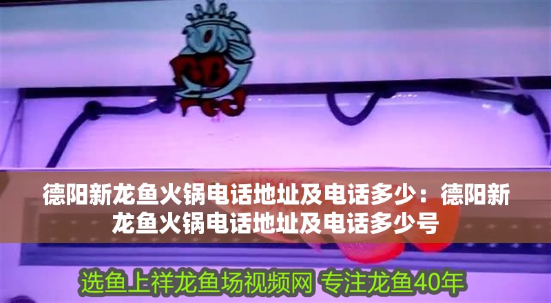 德陽新龍魚火鍋電話地址及電話多少：德陽新龍魚火鍋電話地址及電話多少號