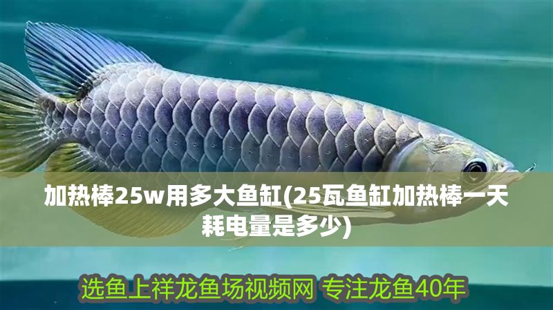 加熱棒25w用多大魚缸(25瓦魚缸加熱棒一天耗電量是多少)