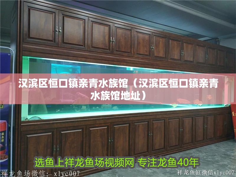 漢濱區(qū)恒口鎮(zhèn)親青水族館（漢濱區(qū)恒口鎮(zhèn)親青水族館地址）