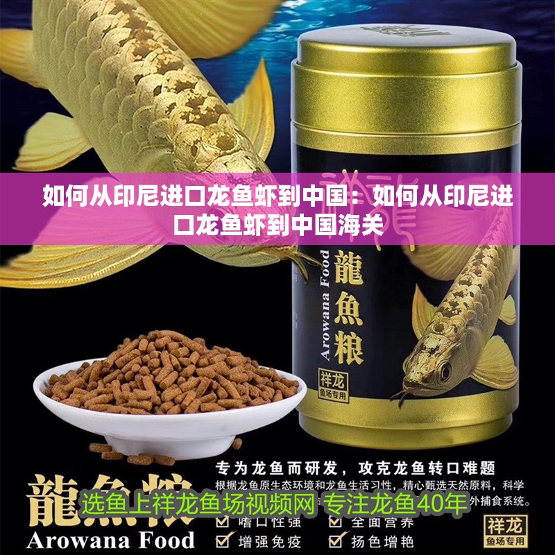 如何從印尼進口龍魚蝦到中國：如何從印尼進口龍魚蝦到中國海關(guān)