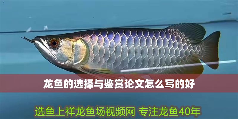 龍魚的選擇與鑒賞論文怎么寫的好 龍魚的選擇與鑒賞論文怎么寫的好 龍魚百科 第2張