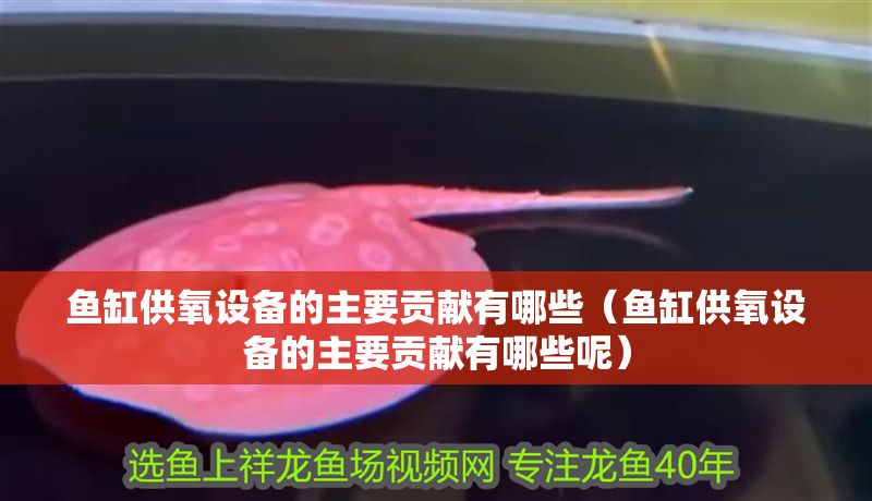 魚缸供氧設(shè)備的主要貢獻有哪些（魚缸供氧設(shè)備的主要貢獻有哪些呢）
