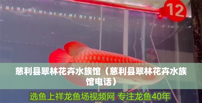 慈利縣翠林花卉水族館（慈利縣翠林花卉水族館電話）
