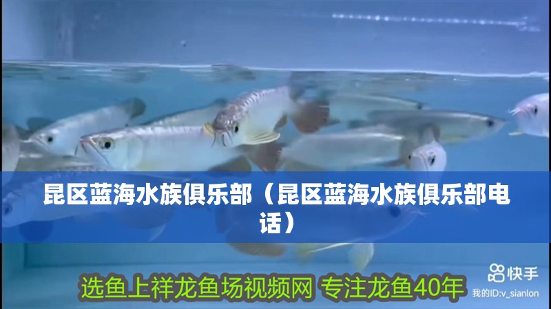 昆區(qū)藍(lán)海水族俱樂(lè)部（昆區(qū)藍(lán)海水族俱樂(lè)部電話）