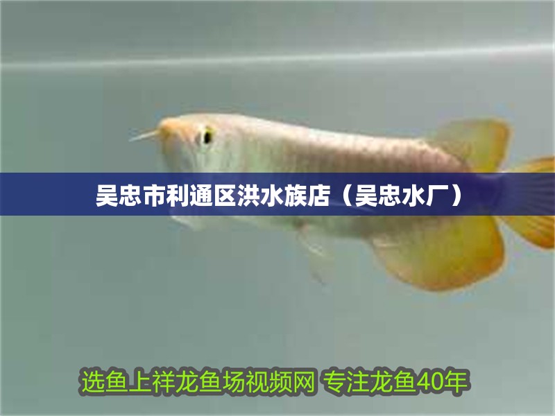 吳忠市利通區洪水族店（吳忠水廠） 吳忠市利通區洪水族店（吳忠水廠） 全國水族館企業名錄 第2張
