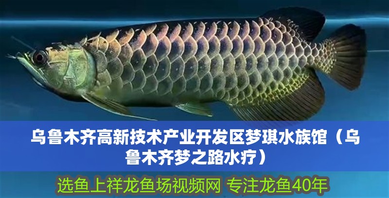 烏魯木齊高新技術產業開發區夢琪水族館（烏魯木齊夢之路水療） 烏魯木齊高新技術產業開發區夢琪水族館（烏魯木齊夢之路水療） 全國水族館企業名錄 第2張