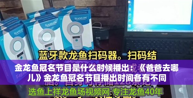 金龍魚冠名節目是什么時候播出：《爸爸去哪兒》金龍魚冠名節目播出時間各有不同