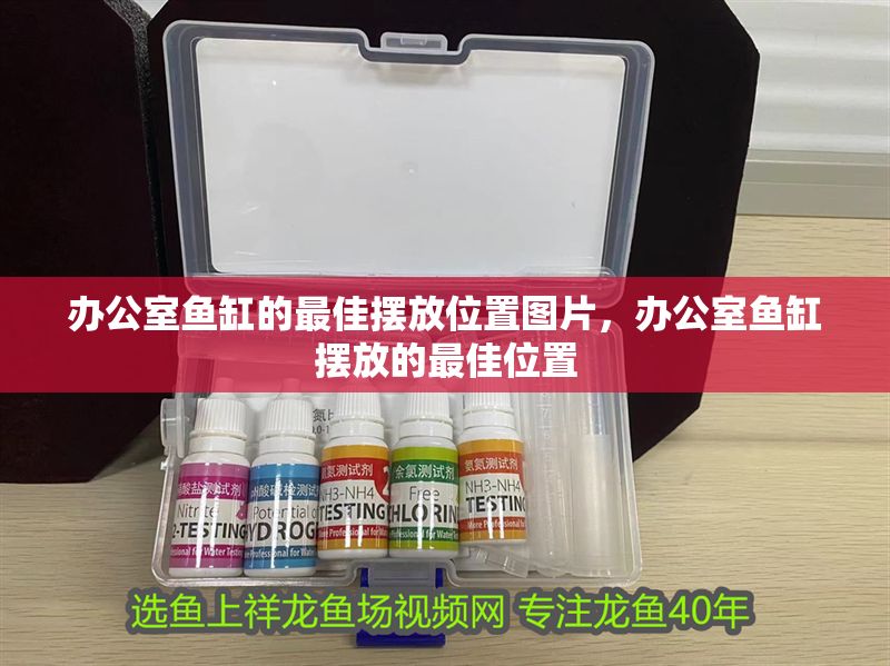 辦公室魚缸的最佳擺放位置圖片，辦公室魚缸擺放的最佳位置