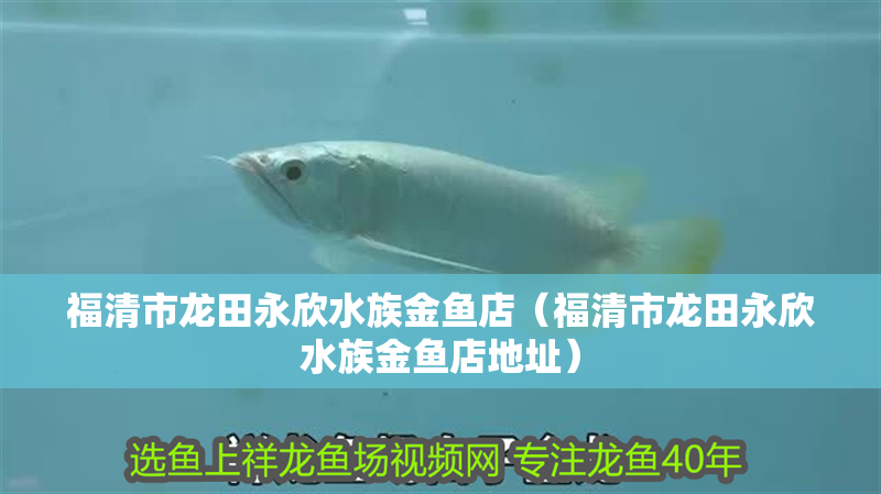 福清市龍田永欣水族金魚店（福清市龍田永欣水族金魚店地址） 福清市龍田永欣水族金魚店（福清市龍田永欣水族金魚店地址） 全國水族館企業名錄 第2張