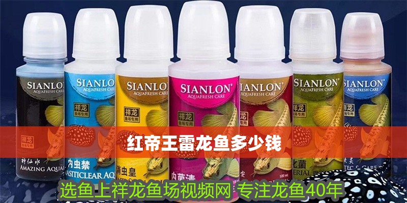 紅帝王雷龍魚多少錢