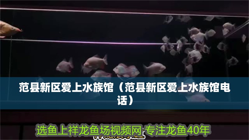 范縣新區(qū)愛上水族館（范縣新區(qū)愛上水族館電話）