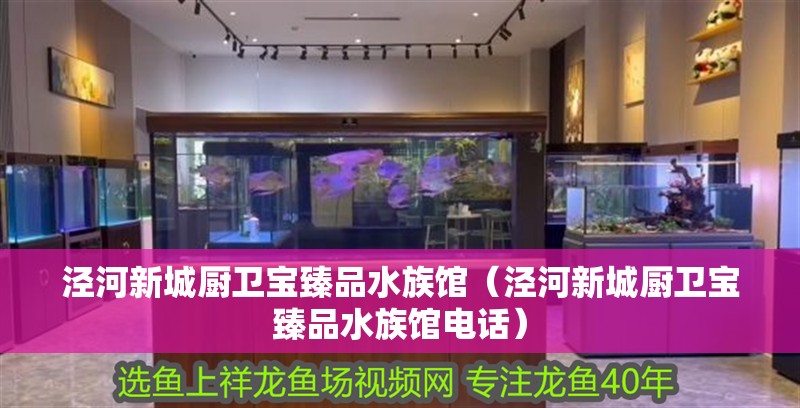 涇河新城廚衛寶臻品水族館（涇河新城廚衛寶臻品水族館電話）