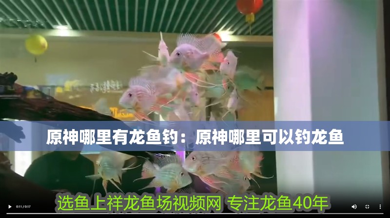 原神哪里有龍魚釣：原神哪里可以釣龍魚